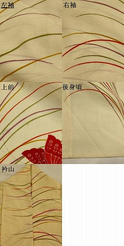 平和屋着物＊夏物　訪問着　絽　舞蝶文　正絹　逸品　AABL1469st