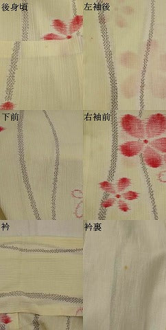 平和屋着物＊夏物　小紋　紗　ちぢみ織　舞花文　洗える着物　AABL1485st