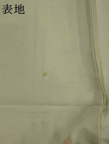 平和屋着物＊夏物　訪問着　絽　草花文　暈し染め　正絹　逸品　AABL1487st