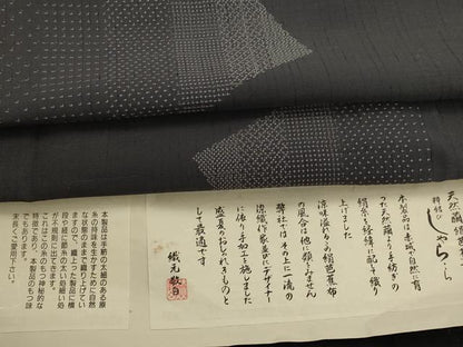 平和屋着物＊夏物　絹芭蕉　幾何学間道　証紙付き　正絹　逸品　AABL1488st