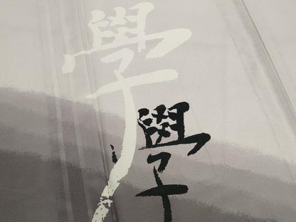 平和屋着物＊夏物　色留訪問着　絽　文字文　暈し染め　洗える着物　AABL1489st