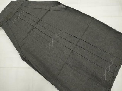 平和屋着物＊夏物　男性　行灯袴　紋絽　霞文　正絹　逸品　未使用　AABL1491st