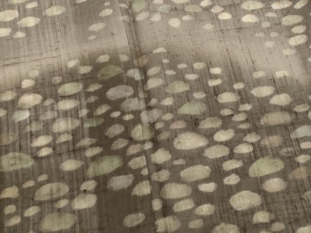 平和屋着物＊夏物　訪問着　生紬　紗　石畳文様　正絹　逸品　AABL1518st