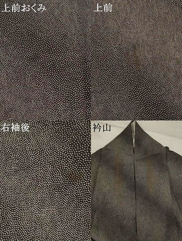 平和屋着物＊夏物　江戸小紋　絽　霞文　両面染　正絹　逸品　AABL1520st