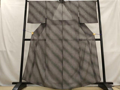 平和屋着物＊夏物　江戸小紋　絽　霞文　両面染　正絹　逸品　AABL1520st