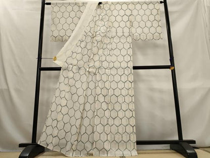 平和屋着物＊夏物　小紋　絽　亀甲文　正絹　逸品　AABL1531st