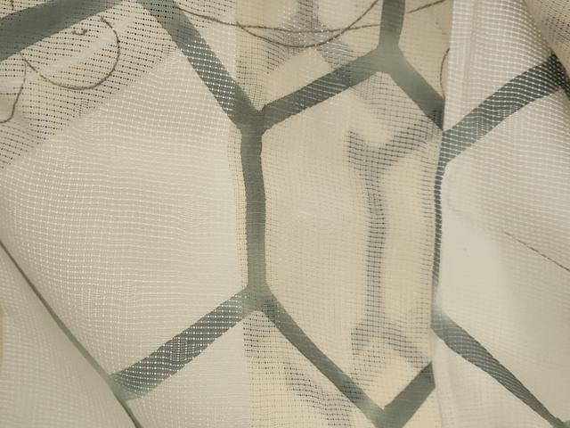 平和屋着物＊夏物　小紋　絽　亀甲文　正絹　逸品　AABL1531st