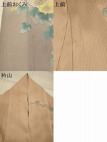 平和屋着物＊夏物　訪問着　縦絽　朝顔　暈し染め　正絹　逸品　AABL1570st
