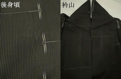 平和屋着物＊夏物　小紋　絽芭蕉　勝虫　黒地　正絹　逸品　AABL1576st