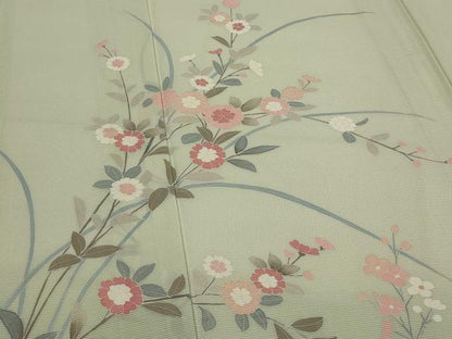 平和屋着物＊夏物　訪問着　絽　友禅　草花文　暈し染め　正絹　逸品　AABL1582st