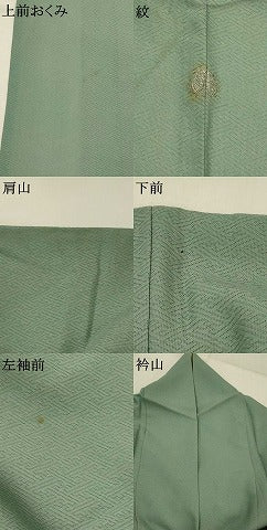 平和屋着物＊夏物　色無地　紗綾形紋紗　水浅葱色　正絹　逸品　AABL1590st