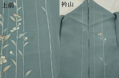 平和屋着物＊夏物　訪問着　絽縮緬　草花文　正絹　逸品　AABL1595st