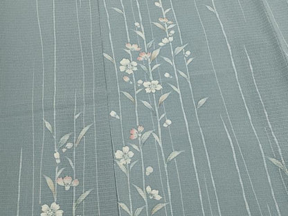 平和屋着物＊夏物　訪問着　絽縮緬　草花文　正絹　逸品　AABL1595st