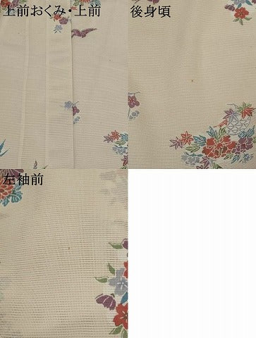 平和屋着物＊夏物　小紋　絽　花鳥文　洗える着物　AABL1605st