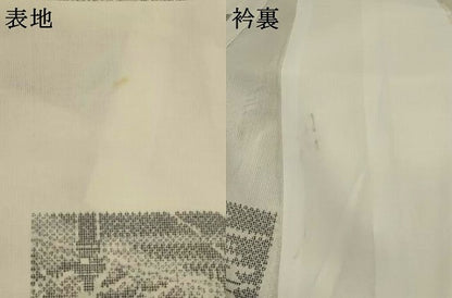 平和屋着物＊夏物　小紋　紗　色紙風景文　洗える着物　AABL1622st