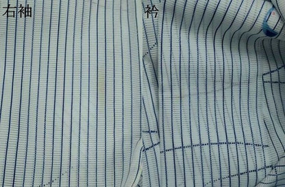 平和屋着物＊夏物　小紋　絽　飛鶴文　洗える着物　AABL1624st
