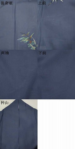 平和屋着物＊夏物　訪問着　絽　鷺　葡萄蔦の葉文　正絹　逸品　AABL1633st