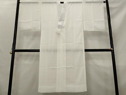 平和屋着物＊夏物　洗える最高級着物　＜英＞はなぶさ謹製　長襦袢　絽縮緬　白色　洗える着物　AABL1637st