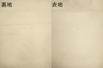 平和屋着物●九寸名古屋帯　作家物　手描き　葡萄蔦の葉文　正絹　逸品　AABL2295pf