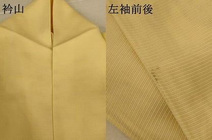平和屋着物＊夏物　訪問着　絽　草花文　正絹　逸品　AABL2602jd