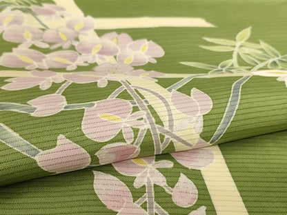 平和屋着物＊夏物　色留袖　絽　友禅　枝垂れ花文　正絹　逸品　AABL2608jd