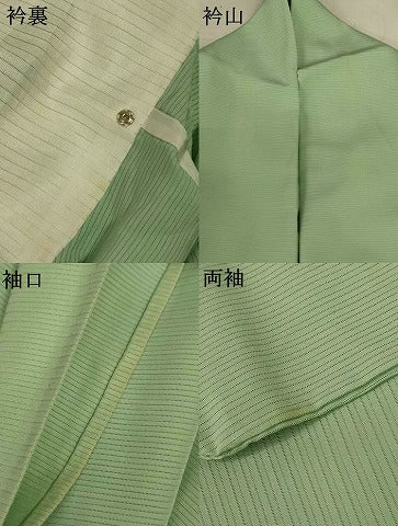 平和屋着物＊夏物　色無地　絽　夏虫色　正絹　逸品　AABL2680jd