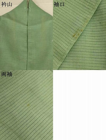 平和屋着物＊夏物　訪問着　絽紬　友禅　流水渡橋文　正絹　逸品　AABL2691jd