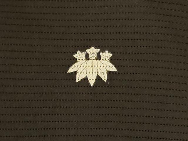 平和屋着物＊夏物　黒留袖　絽　花鳥文　正絹　逸品　AABL2730jd