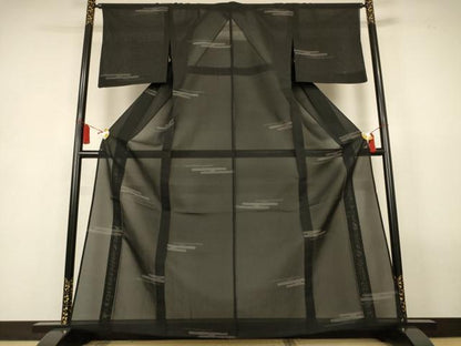 平和屋着物＊夏物　紗紬　エ霞文　黒地　正絹　逸品　AABL2752jd