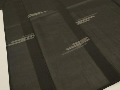 平和屋着物＊夏物　紗紬　エ霞文　黒地　正絹　逸品　AABL2752jd