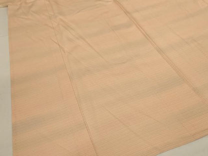 平和屋着物＊夏物　小紋　絽　横段文　暈し染め　正絹　逸品　AABL2774jd