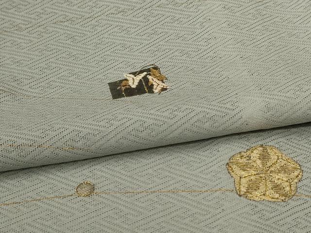 平和屋着物＊夏物　訪問着　紗綾形紋紗　竹屋町刺繍　抽象文　金彩　正絹　逸品　AABL2789jd