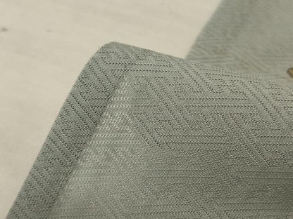 平和屋着物＊夏物　訪問着　紗綾形紋紗　竹屋町刺繍　抽象文　金彩　正絹　逸品　AABL2789jd