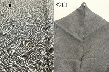 平和屋着物●都喜ヱ門　江戸小紋　鮫小紋柄　利休趣　藤絹織物謹製　正絹　逸品　AABL2841fy