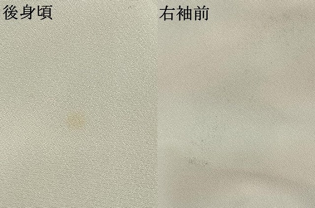 平和屋着物●訪問着　手描き　草花文　暈し染め　洗える着物　AABL2897fy