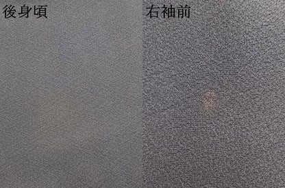 平和屋着物●上質な色無地　鳩羽色　正絹　逸品　AABL2924fy