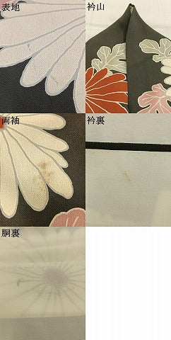 平和屋着物●訪問着　草花文　黒地　金彩　正絹　逸品　AABL2959fy