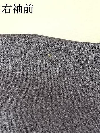 平和屋着物●訪問着　刺繍　亀甲花文　暈し染め　金糸　金銀彩　正絹　逸品　AABL2991fy