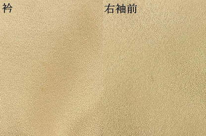 平和屋着物●訪問着　草花文　金彩　正絹　逸品　AABL3066fy