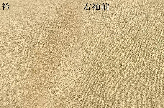 平和屋着物●訪問着　草花文　金彩　正絹　逸品　AABL3066fy