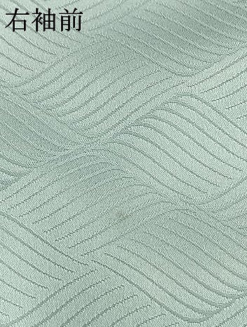 平和屋着物●洗える最高級着物　＜英＞はなぶさ謹製　訪問着　色紙重ね花文　金彩　洗える着物　AABL3092fy
