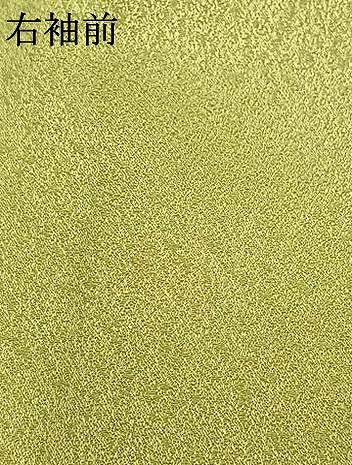 平和屋着物●訪問着　駒刺繍　草花文　金彩　西武百貨店扱い　正絹　逸品　AABL3154fy