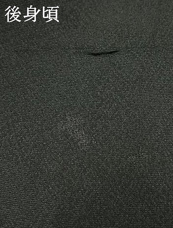 平和屋着物●上質な小紋　草花文　黒地　金彩　正絹　逸品　AABL3187fy