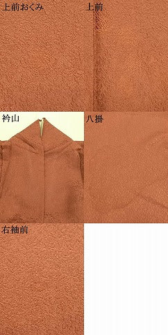 平和屋着物●上質な色無地　丸地紋　鳶色　正絹　逸品　AABL3204fy