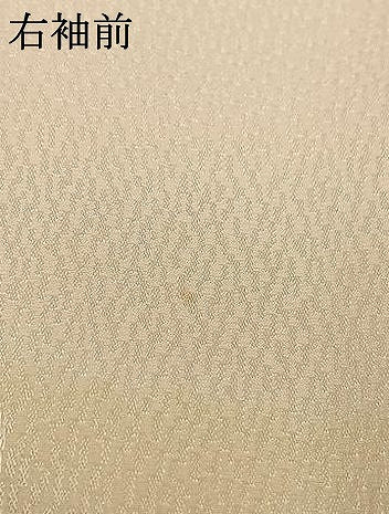 平和屋着物●長襦袢　袷　舞葉地紋　暈し染め　広衿仕立て　正絹　逸品　AABL3281fy