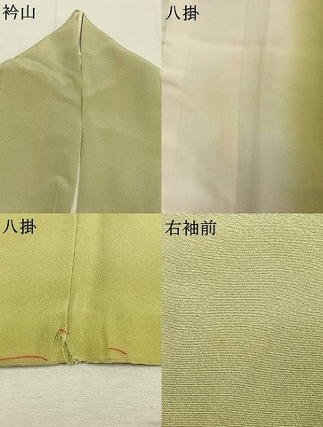 平和屋着物●訪問着　草花文　暈し染め　正絹　逸品　AABL3347fy