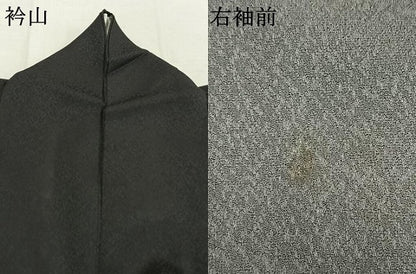 平和屋着物●螺鈿工芸作家　佐野正喜　訪問着　吉祥文　金彩　正絹　逸品　AABL3356fy