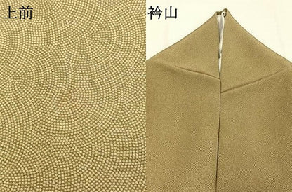 平和屋着物●江戸小紋　鮫小紋柄　正絹　逸品　AABL3418fy