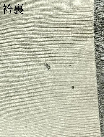 平和屋着物●上質な色無地　南天地紋　灰青色　さが美扱い　正絹　逸品　AABL3437fy
