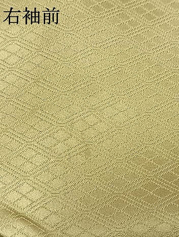 平和屋着物●豪華色留袖　駒刺繍　花鳥文　金彩　正絹　逸品　AABL3456fy